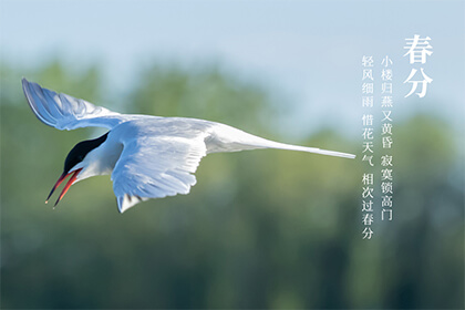 2021年春分出生的宝宝名字起名，宝宝起名宜用字好名字推荐