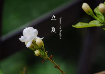 2019年立夏出生的孩子五行缺土起名寓意最好的字