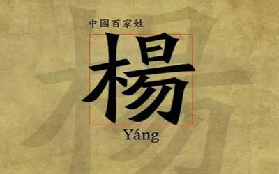 男孩姓杨名字怎么取简单顺口