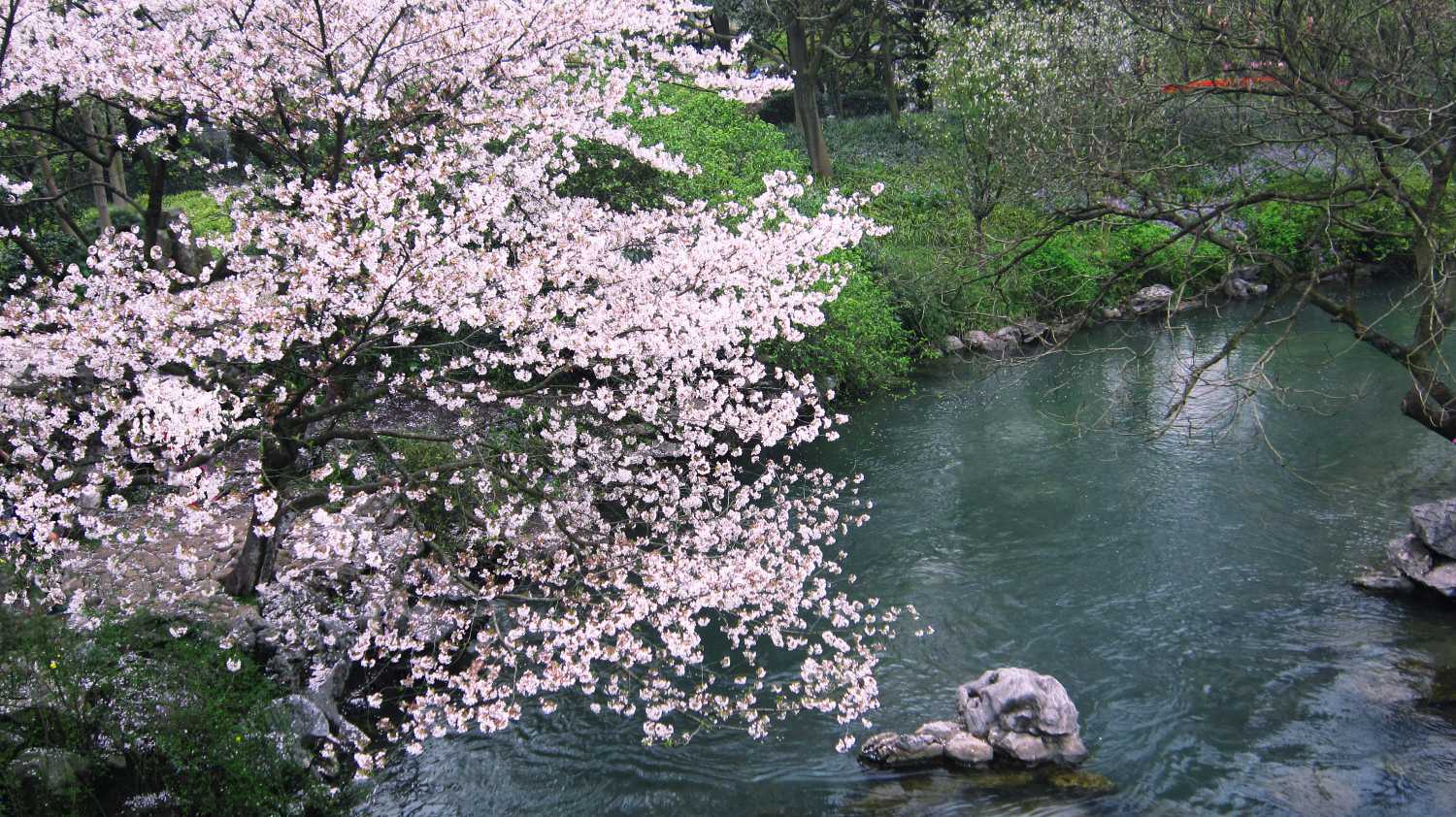 5月11号上午11点出生的女孩如何起名，起名方法