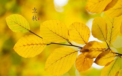 2020年立秋出生的女孩缺金取名好名字推荐