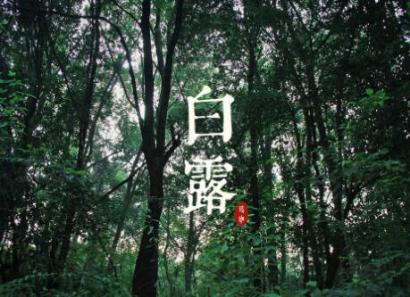 2020年白露缺水女孩起名,白露的具体时辰2020