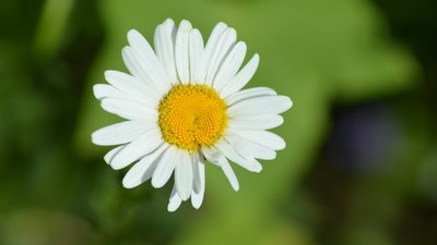 2019猪年芒种出生的男孩起名技巧，芒种是什么日子？
