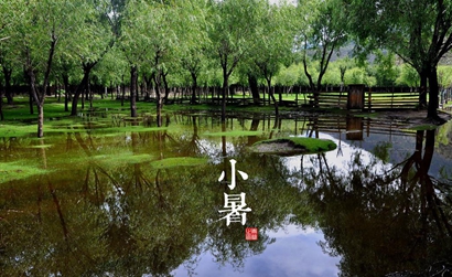 2019年小暑出生的猪宝宝缺什么五行，男孩八字缺水起名