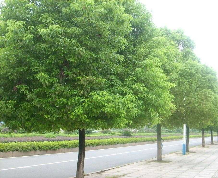 2019年10月20号出生的女孩起什么名字比较好，宜用什么字
