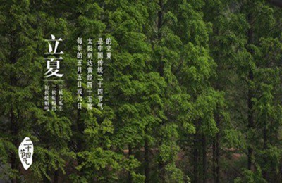020年立夏出生缺木男孩取名字带木旁的有哪些字？"