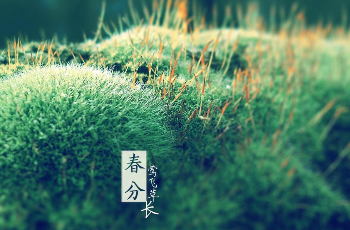 2021年牛年春分出生男孩取名，男孩好名字和宜用字推荐