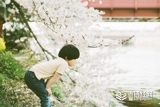 子涵名字的含义 子涵的来历是什么