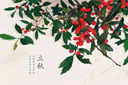 2019年立秋出生双胞胎女孩诗意优雅大方名字大全！