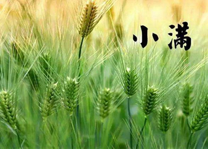 020鼠年小满出生的女孩带雅字八字缺木好听高分名字！"