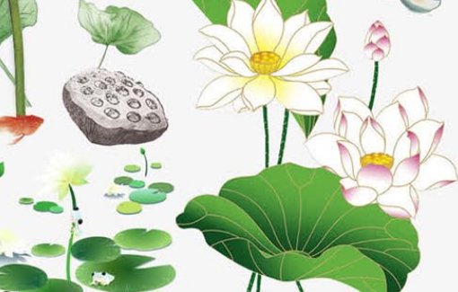 2021年1月10日出生的宝宝是什么命,十一月廿七的孩子怎么起名字