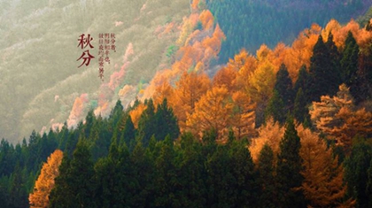 2020年八月初六秋分出生男孩五行缺什么,缺火男孩宜用字