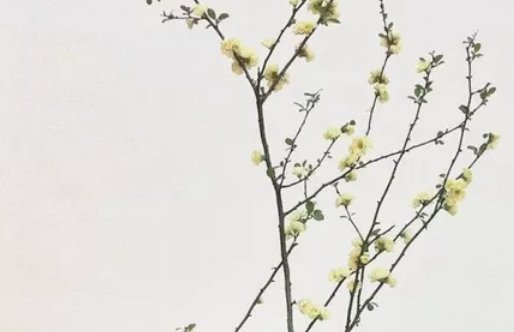2020年7月20号五月三十生的男孩命运好吗，取什么名字好