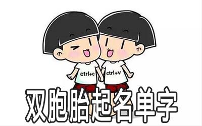 双胞胎男生起名哪些单字好听有寓意