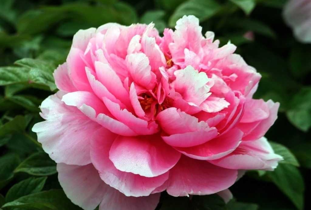 妇女节出生的男宝宝起名带什么字好，用哪些字比较合适
