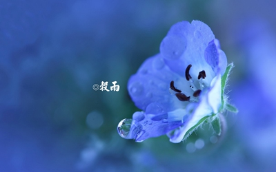 谷雨出生的男孩起名带雨字好不好？生肖鼠起名宜用字