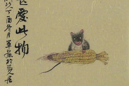 王姓属鼠名字