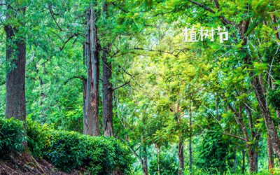 喜用神起名：适合2020年植树节出生的男孩的好名字