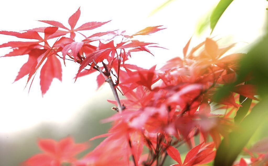 2019年3月8号出生的女宝宝五行缺水如何起名字，宜用什么字