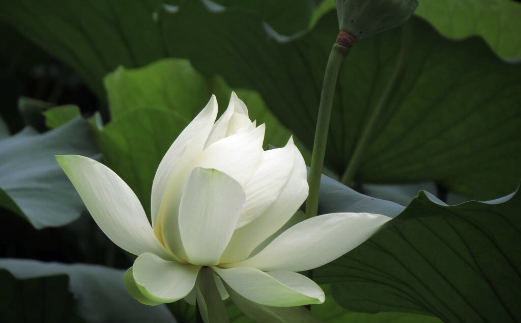 公历2019年5月5号子时出生的女宝宝怎么来起名，宜用字是什么