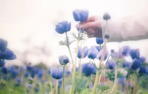 2020年农历十二月腊月出生的女孩取名宜用字