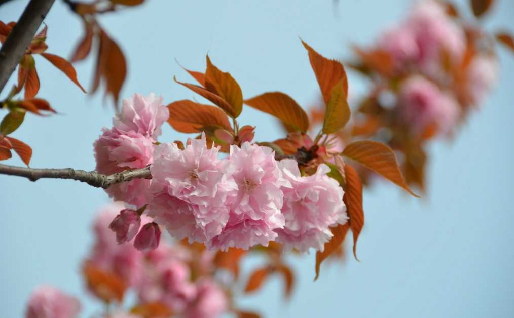 姓汤男孩怎么起名吉祥，姓汤男孩起什么名字好听