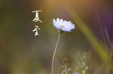 夏至出生的女孩起名，名字大全