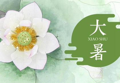 2020年大暑出生男孩缺木霸气名字推荐,带木有寓意起名用字