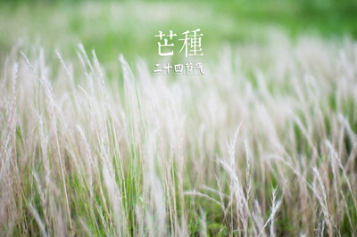 2020年芒种出生的女孩缺土起名字推荐最好有哪些字？