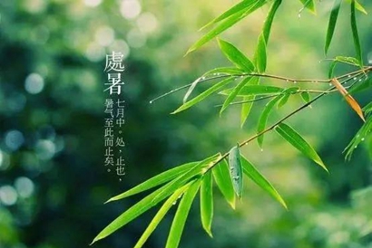 2019猪年处暑出生的女孩取名，处暑出生的孩子好不好？