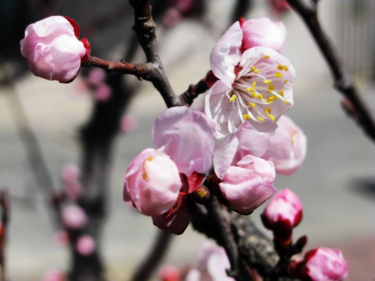 5月17号晚上9点出生的女孩如何起名，常用字有哪些