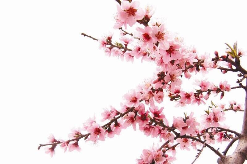 重阳节晚上出生的女宝宝什么名字好