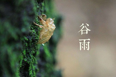 020庚子年谷雨出生男孩五行缺水叫雨可以吗？"