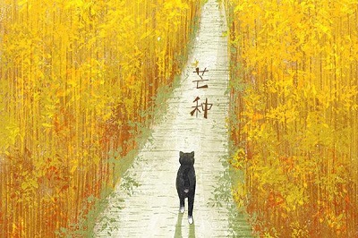 2020年芒种出生缺木男孩取名字起名的字有什么？