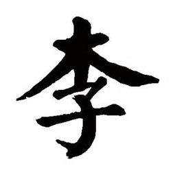 新颖特别的李姓女宝宝名字大全