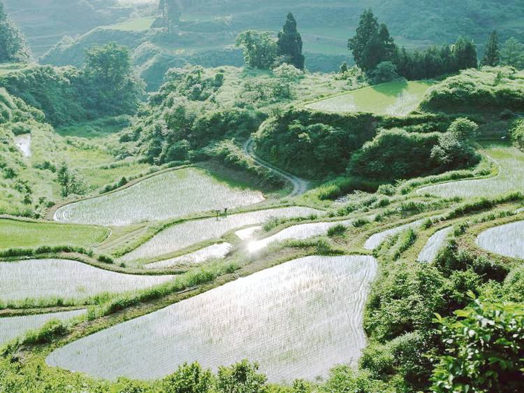 2019年大雪节气是几月几号，大雪出生的孩子起什么名字好