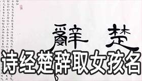 怎么从诗经楚辞取好听的女生名字