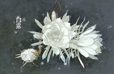 020年白露出生的宝宝起名带什么字好？白露出生的人命运"