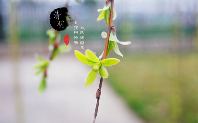 020年4月4日清明出生女孩带清的优雅名字"