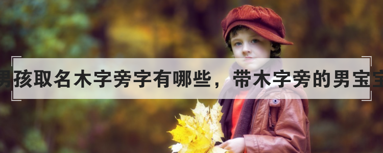 适合男孩取名木字旁字有哪些，带木字旁的男宝宝名字