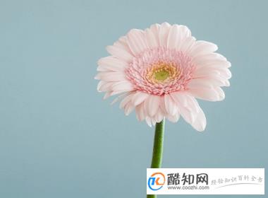 2019好听的微信名字