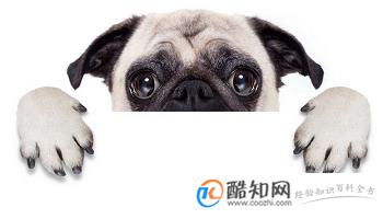 唯美好听的微信名字