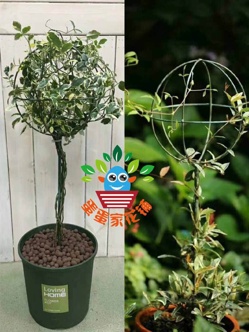 适合女生开的特色店铺_铁艺大气的名字_适合铁艺的店铺名字