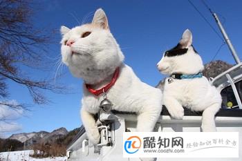 唯美好听的微信名字