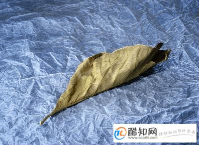 朗朗上口且好听的微信昵称
