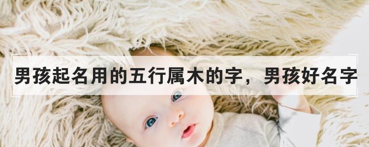 男孩起名用的五行属木的字,男孩好名字