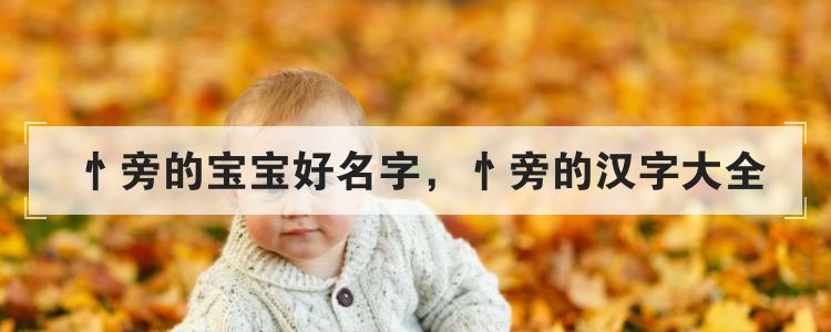忄旁的宝宝好名字,忄旁的汉字大全