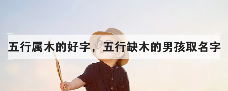 五行属木的好字，五行缺木的男孩取名字