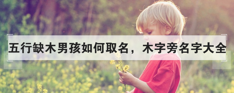 五行缺木男孩如何取名,木字旁名字大全