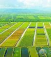 农业科技公司取名原则-农业企业品牌取名技巧